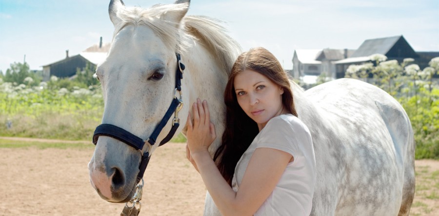 Vestibulum posuere nulla justo, sodales ornare ipsum auctor in.